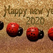 Happy new year