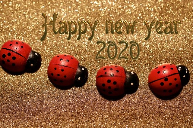 Happy new year
