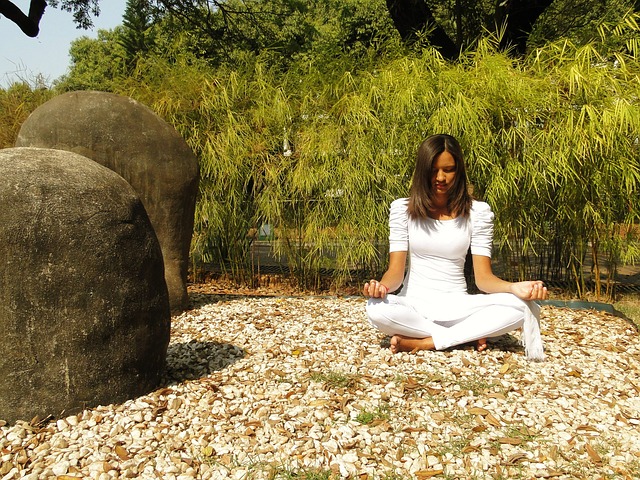 yoga mania