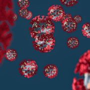 perdita olfatto da coronavirus