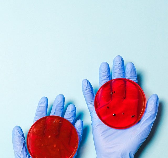 domande e risposte sul nuovo coronavirus