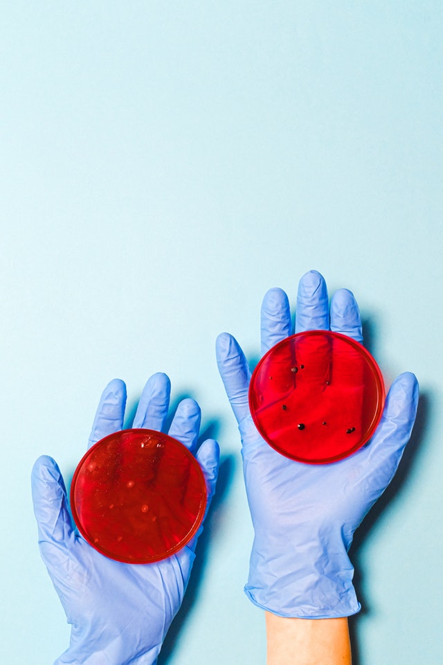 domande e risposte sul nuovo coronavirus