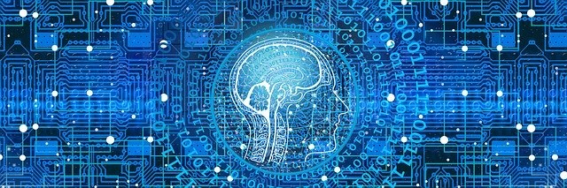 Fitness per un cervello in forma e pimpante