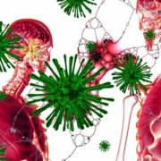 cure coronavirus