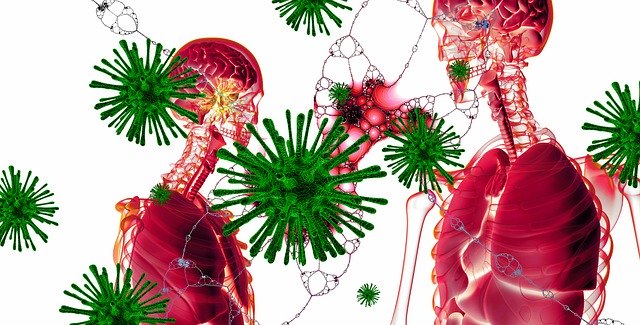 cure coronavirus