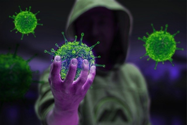coronavirus i 4 mesi dei virologi litigiosi