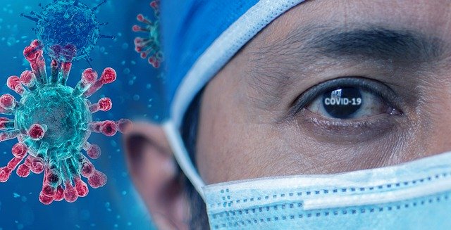 coronavirus i 4 mesi dei virologi litigiosi