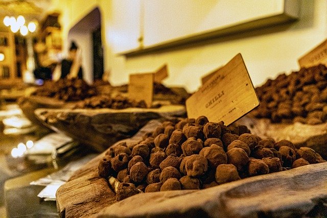 funghi antietà