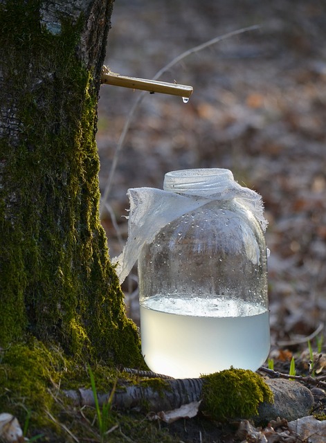 zuccheri alternativi naturali