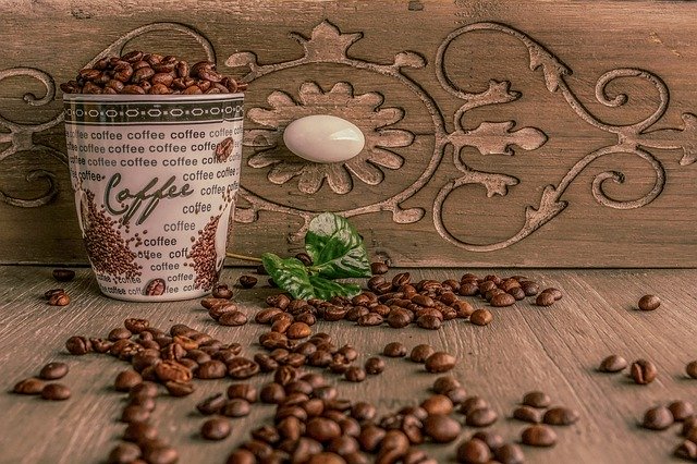 coltivare pianta del caffè in terrazzo