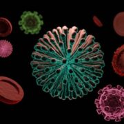 coronavirus modelli matematici