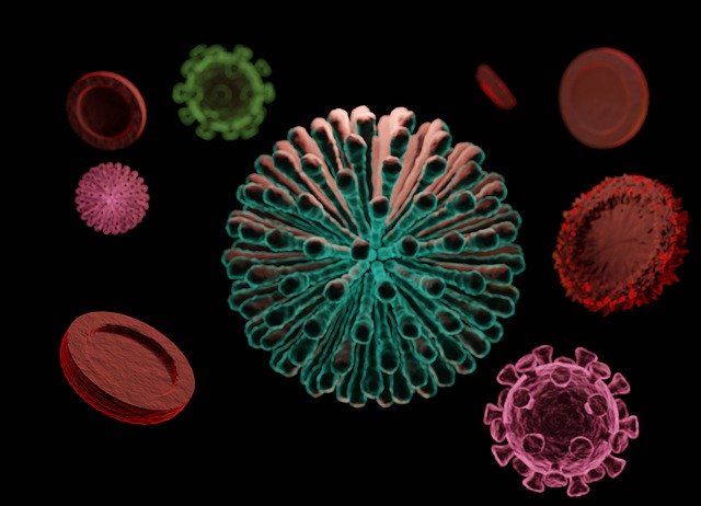 coronavirus modelli matematici
