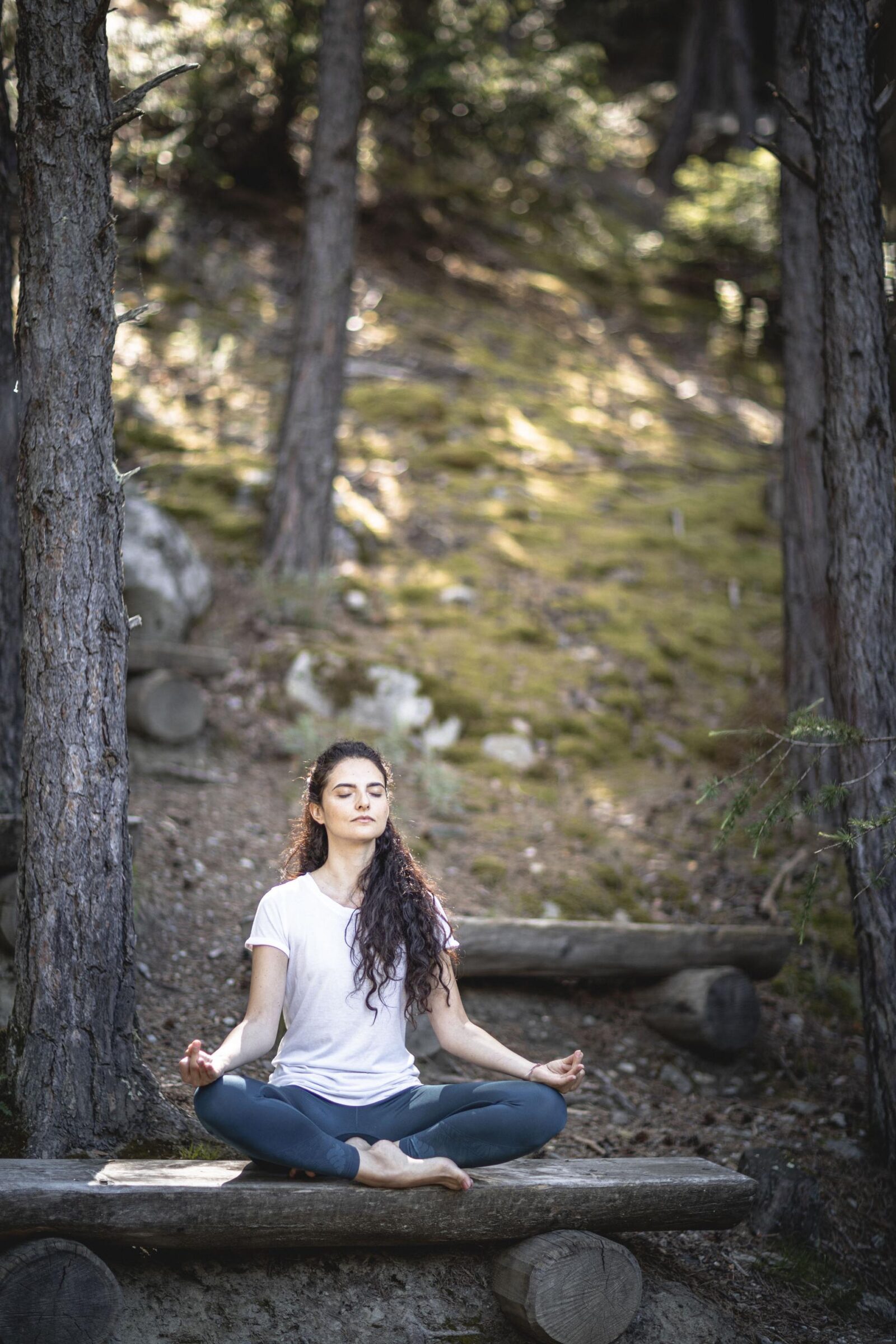 Meditazione nei boschi