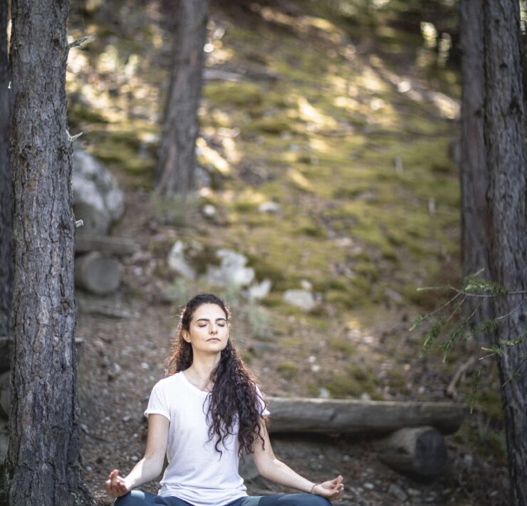 Meditazione nei boschi