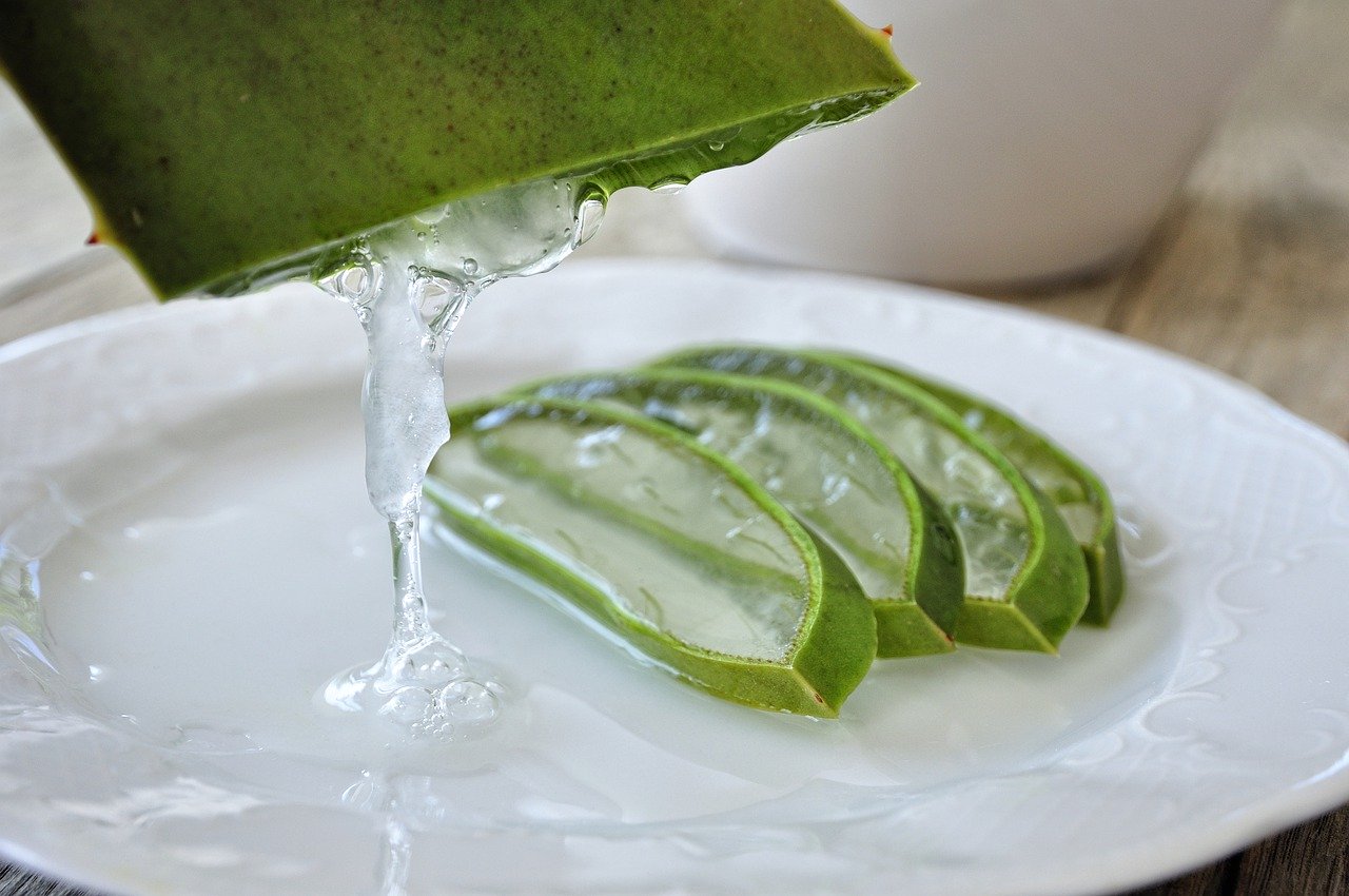 Tutte le virtù dell'aloe