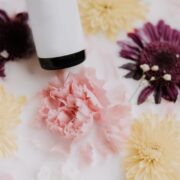 Arnica iperico tea tree oil e incenso i rimedi naturali tuttofare