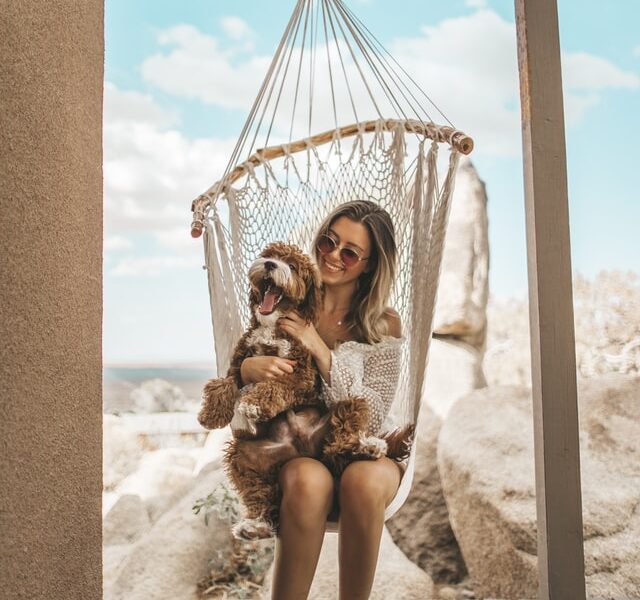 aiutare il cane e il gatto a superare lo shock da pensione dopo le vacanze