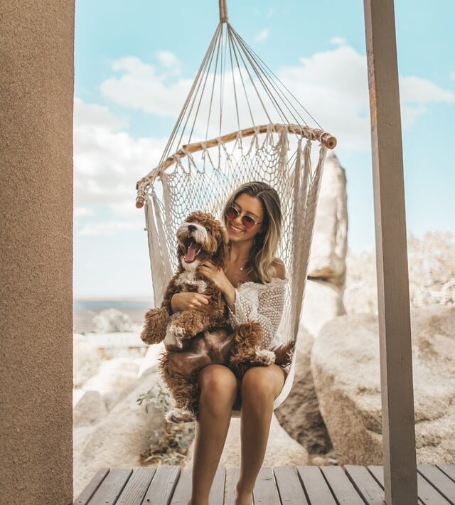 aiutare il cane e il gatto a superare lo shock da pensione dopo le vacanze