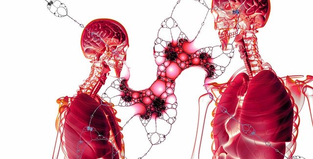 Covid non attacca solo polmoni e cuore