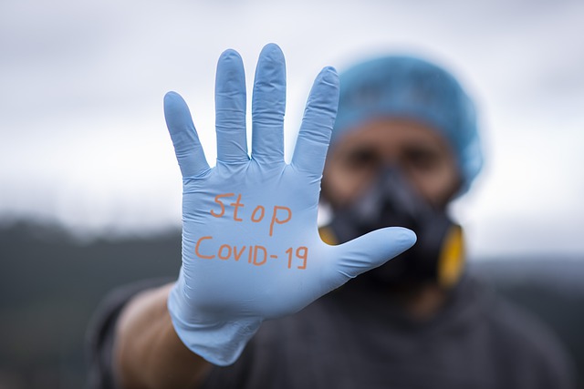Covid presto in Italia i cani che 'fiutano' il virus