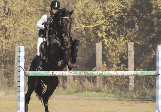 equitazione i vantaggi di andare a cavallo