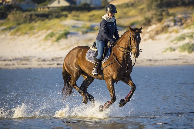 equitazione i vantaggi di andare a cavallo