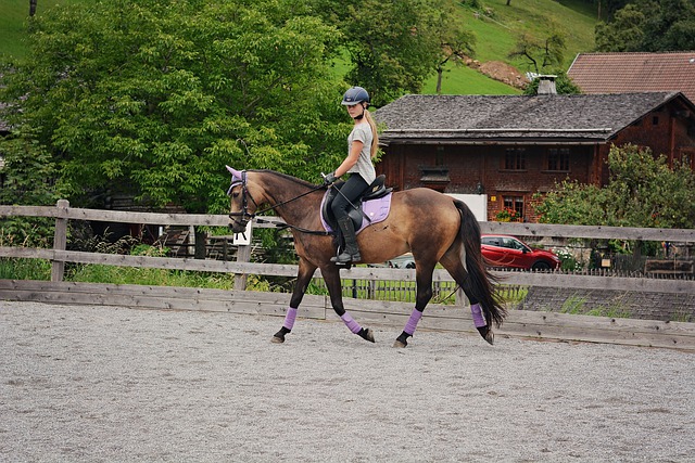 equitazione i vantaggi di andare a cavallo