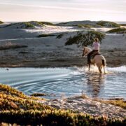 equitazione i vantaggi di andare a cavallo
