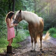 adottare un cavallo